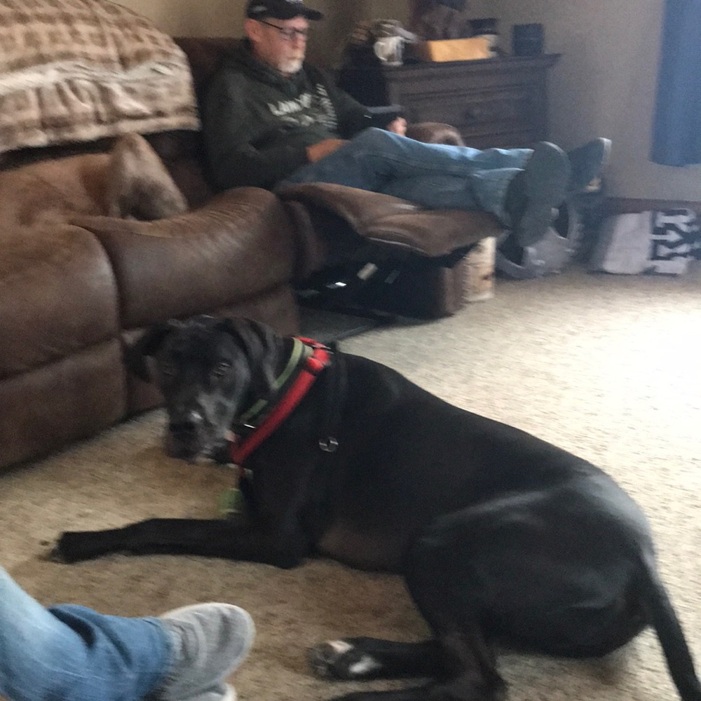 Meet your Posher, Heidi